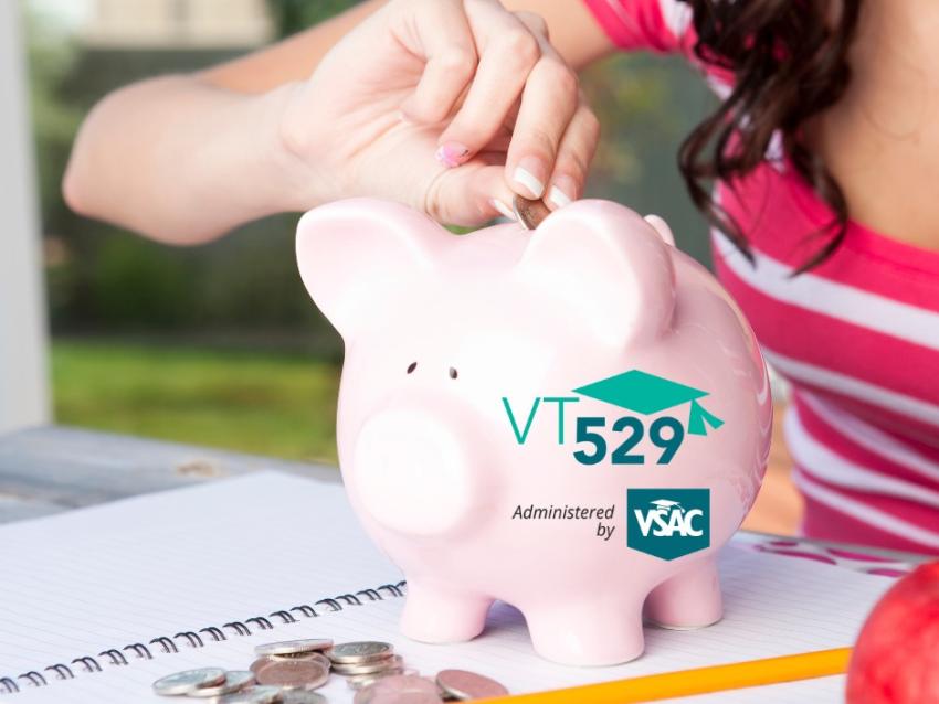 vt529 piggy bank