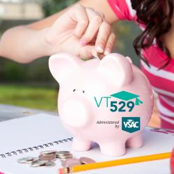 vt529 piggy bank