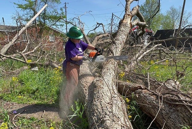 Kirsty Greeno cutting tree